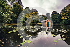 Early autumn view of a wooden cabin by reflective pond water with lily pads in Burger Park, Germany