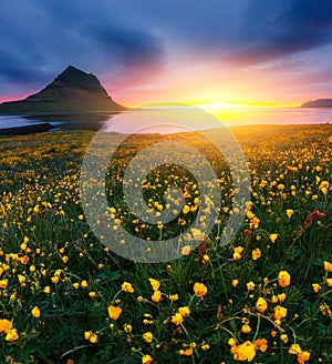 Majestic evening with Kirkjufell volcano. Location place Kirkjufellsfoss, Iceland