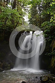 Majestic Falls, McDowell County Park, Oregon: Aperature Priority