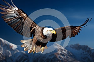 Majestic flight eagle soars against a captivating backdrop of blue