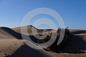 Majestic forms of dunes Gran Canaria