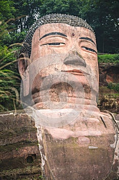 Majestic Giant Leshan Buddha head, face and torso