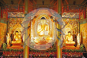 Majestic golden Buddha statues