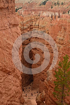 Majestic Gorge In Bryce Canyon Formations Of Hoodos. Geology. Travel.Nature.