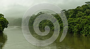 majestic green river of the amazon with haze in a sunrise