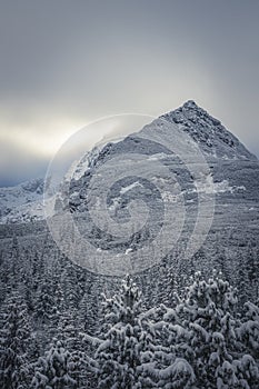 Majestic KoÅ›cielec Peak in winter