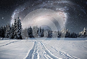 Majestic landscape with forest at winter night time with stars and galaxy in the sky. Scenery background. Elements