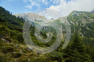 Majestic landscape of summer mountains. View of rocky peaks and coniferous forest hills in fog. Fagaras Mountains. Romania.