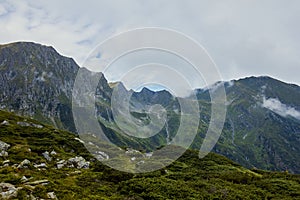 Majestic landscape of summer mountains. View of rocky peaks and coniferous forest hills in fog. Fagaras Mountains. Romania.