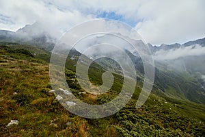 Majestic landscape of summer mountains. View of rocky peaks and coniferous forest hills in fog. Fagaras Mountains. Romania.