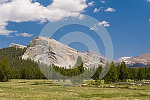 Majestic Lembert Dome