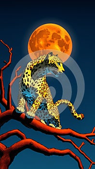 Leopard Perched Under Full Moon photo