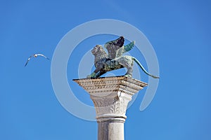 Majestic Lion of Colonna di San Marco, Venice