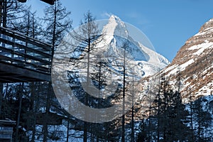 Snow covered Matterhorn mountain and trees seen from resort against sky in alps