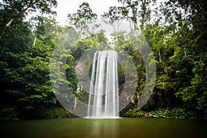 Majestic Millaa Millaa Waterfall photo