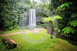 Majestic Millaa Millaa Waterfall photo