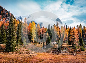 Majestic morning view of National Park Tre Cime di Lavaredo. Gorgeous autumn scene of Dolomite Alps, South Tyrol, Location Auronzo