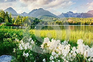 Majestic mountain lake in National Park High Tatra. Strbske ples