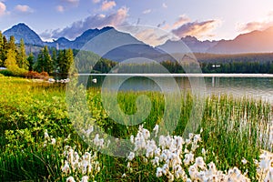 Majestic mountain lake in National Park High Tatra. Strbske pleso, Slovakia, Europe.