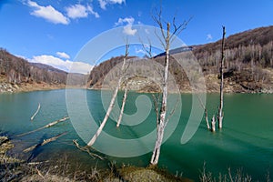 Majestic mountain lake in Romania. Horizontal view with forest g