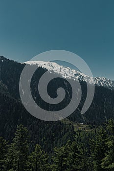 Majestic mountain range covered in lush green vegetation with a snow-capped peak in Shogran Pakistan