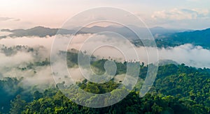 majestic mountains of the amazon with haze in a beautiful sunrise in high resolution and sharpness