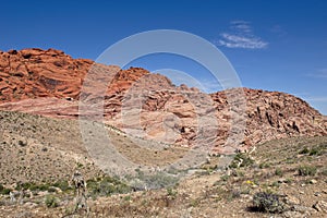 Majestic Mountains in the background at Red Rock Canyon Nature Conservancy photo