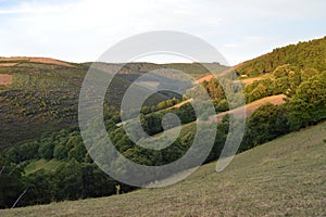 Majestic Mountains Of Galicia Full Of Valleys Pine Forests Meadows And Forests Of Eucalyptus In Rebedul. August 3, 2013. Rebedul,