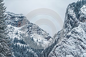 Majestic mountains in winter with white snowy spruces. Wonderful wintry landscape. Amazing view on snowcovered rock mountains.