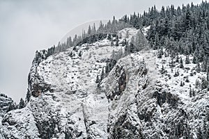 Majestic mountains in winter with white snowy spruces. Wonderful wintry landscape. Amazing view on snowcovered rock mountains.