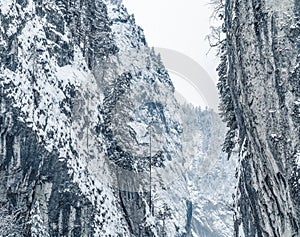 Majestic mountains in winter with white snowy spruces. Wonderful wintry landscape. Amazing view on snowcovered rock mountains.