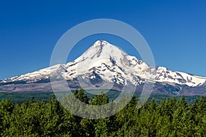 Majestic Mt. Hood