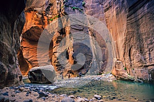 The Majestic Narrows of Zion National Park, Utah