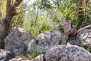 Majestic nature in Yehudia National Natural Park in northern Israel