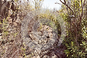 Majestic nature in Yehudia National Natural Park in northern Israel