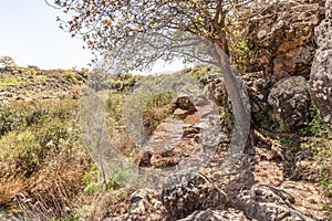 Majestic nature in Yehudia National Natural Park in northern Israel