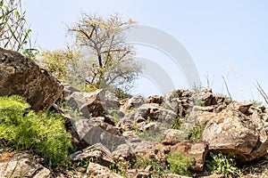 Majestic nature in Yehudia National Natural Park in northern Israel