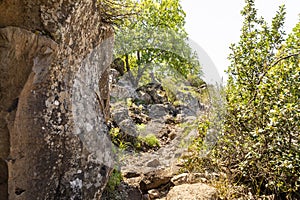 Majestic nature in Yehudia National Natural Park in northern Israel