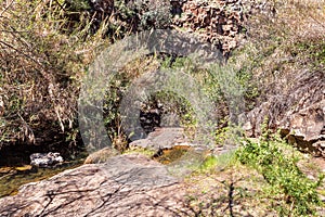 Majestic nature in Yehudia National Natural Park in northern Israel