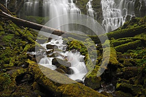 Majestic Proxy Falls img