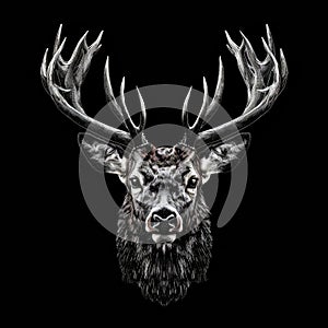 Majestic regal deer head on a black background. Decorative illustration