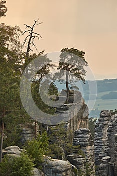 Majestic Rocky Landscape