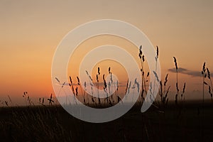 Majestic Rural Summer Landscape Awakens at Sunrise in Northern Europe