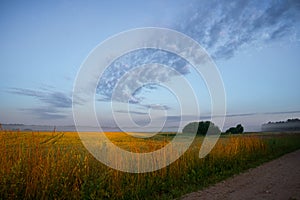 Majestic Rural Summer Landscape Awakens at Sunrise in Northern Europe