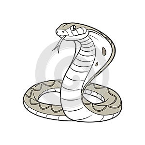 Majestic Scrub Python in Natural Habitat