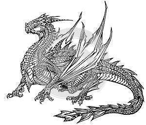 Majestic sea or water dragon. Isolated black and white vector