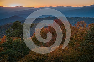 Majestic shot of a densely forested mountain range in Great Smoky Mountains National Park