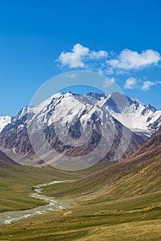 Majestic snow capped mountain peak with green alpine meadows