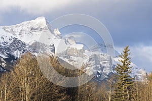 Majestic snow-capped mountain peak under partial cloud sky. Winter trees in foreground.