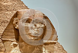 Majestic sphinx sculpture stands guard in front of the iconic pyramids of Giza, Egypt.